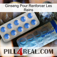 Ginseng For Reinforcing Kidney 40